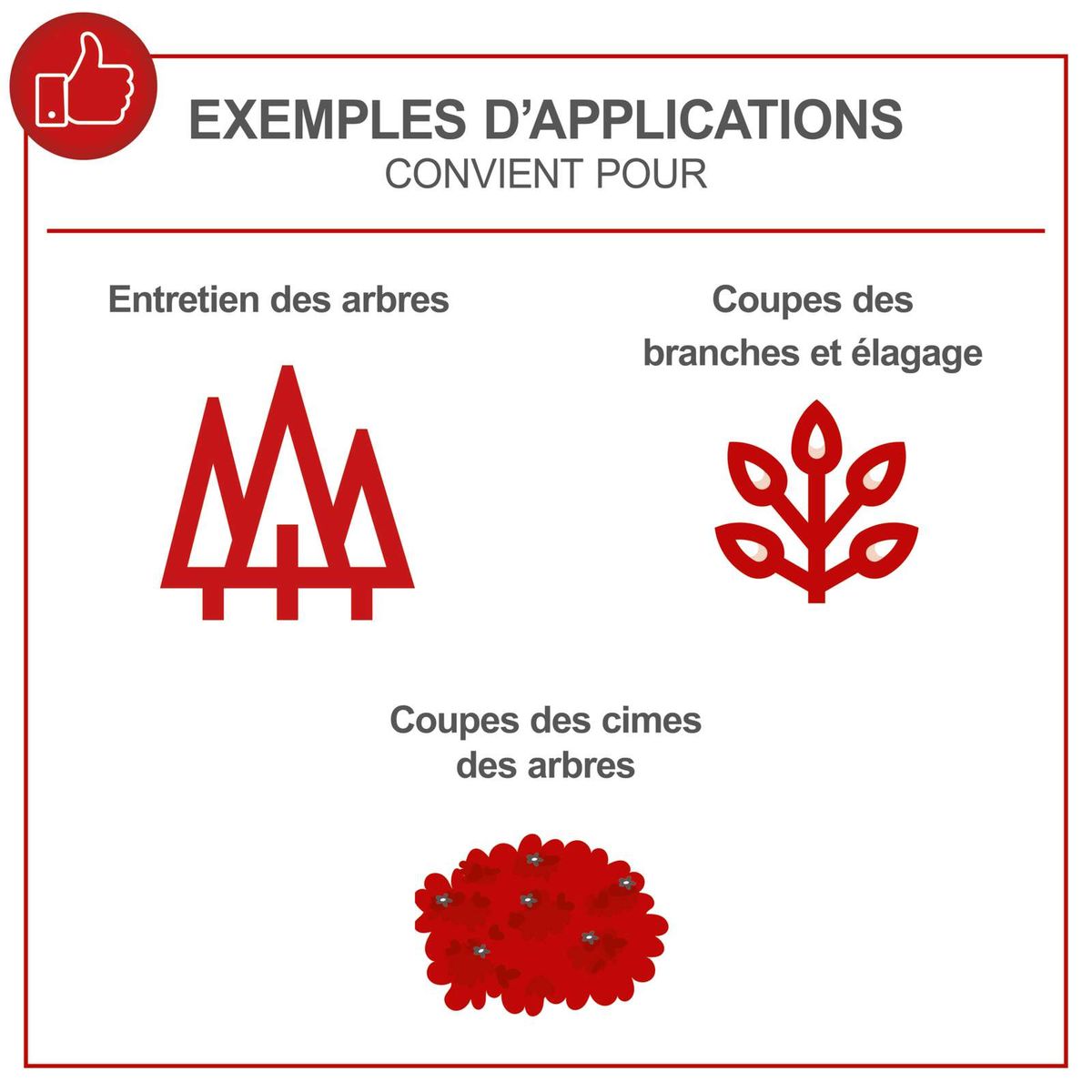 Illustration mit Beispielen für Baumpflegearbeiten: Baumpflege, Astschneiden und Kronenverjüngung von Bäumen