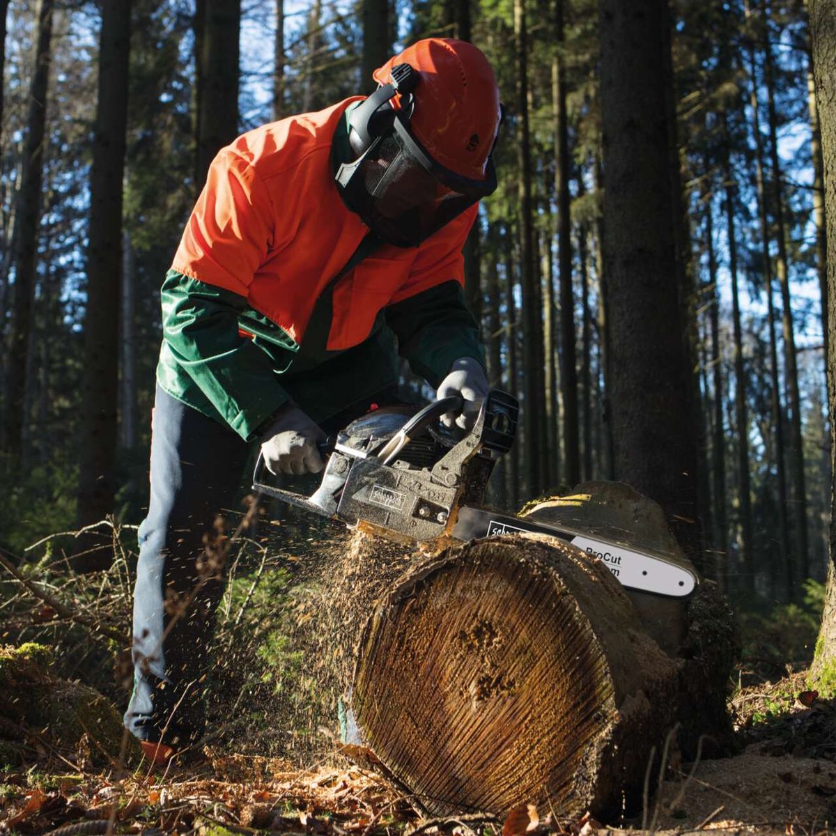 Die Benzin Kettensäge CSH46 von Scheppach mit 2.45PS. Sie hat eine ProCut-Kette und ist ideal für den Einsatz im Wald. Die Säge ist robust und leistungsstark, perfekt für das Fällen von Bäumen und das Zerkleinern von Holz.