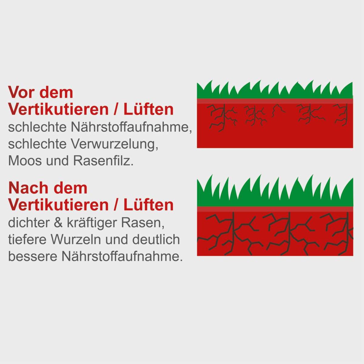 Vor dem Vertikutieren/Lüften: schlechte Nährstoffaufnahme, schlechte Verwurzelung, Moos und Rasenfilz. Nach dem Vertikutieren/Lüften: dichter & kräftiger Rasen, tiefere Wurzeln und deutlich bessere Nährstoffaufnahme.