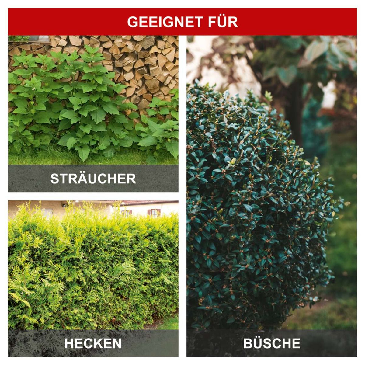 Die Elektro-Langstiel-Heckenschere ETHT1000 eignet sich für Sträucher, Hecken und Büsche. Sie bietet eine Schnittlänge von 410mm und verfügt über eine 10-stufige Verstellung.