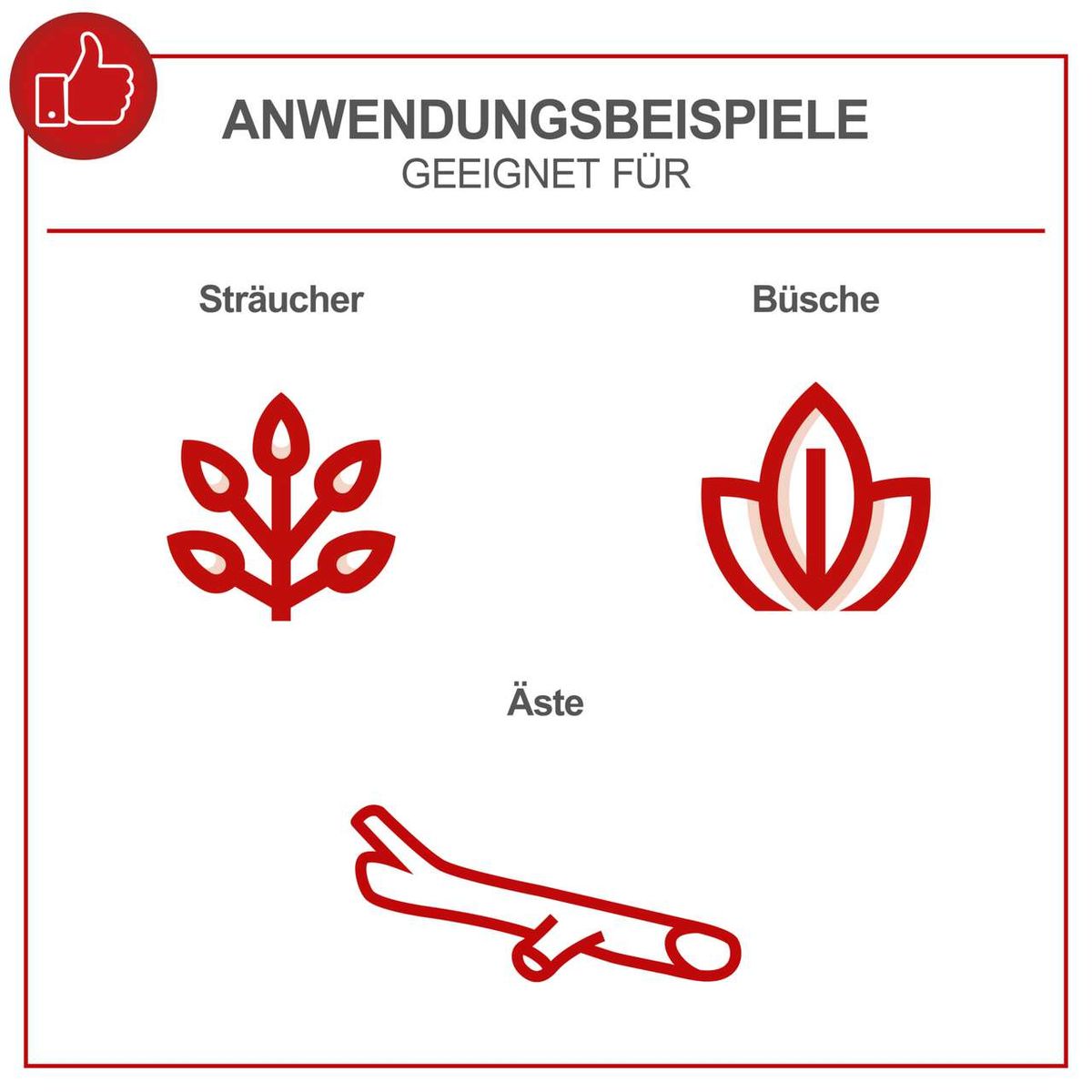 Illustration mit Anwendungsbeispielen für Sträucher, Büsche und Äste für den Gehölzschneider
