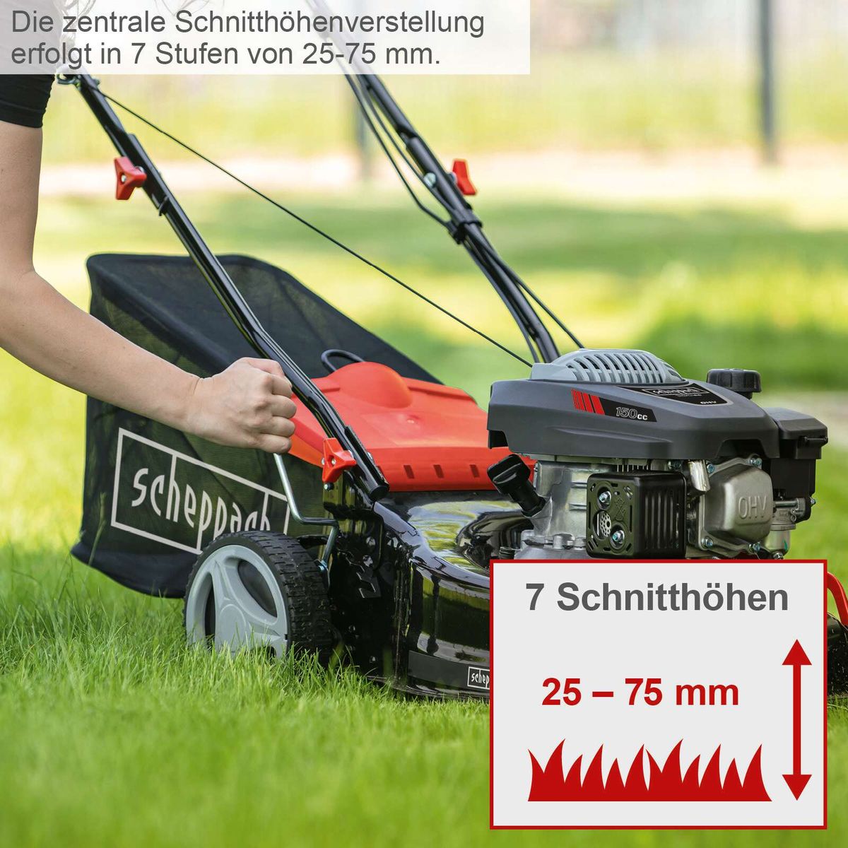 Der Benzin Rasenmäher MS150-42E von Scheppach bietet eine zentrale Schnitthöhenverstellung mit 7 Stufen von 25 bis 75 mm.