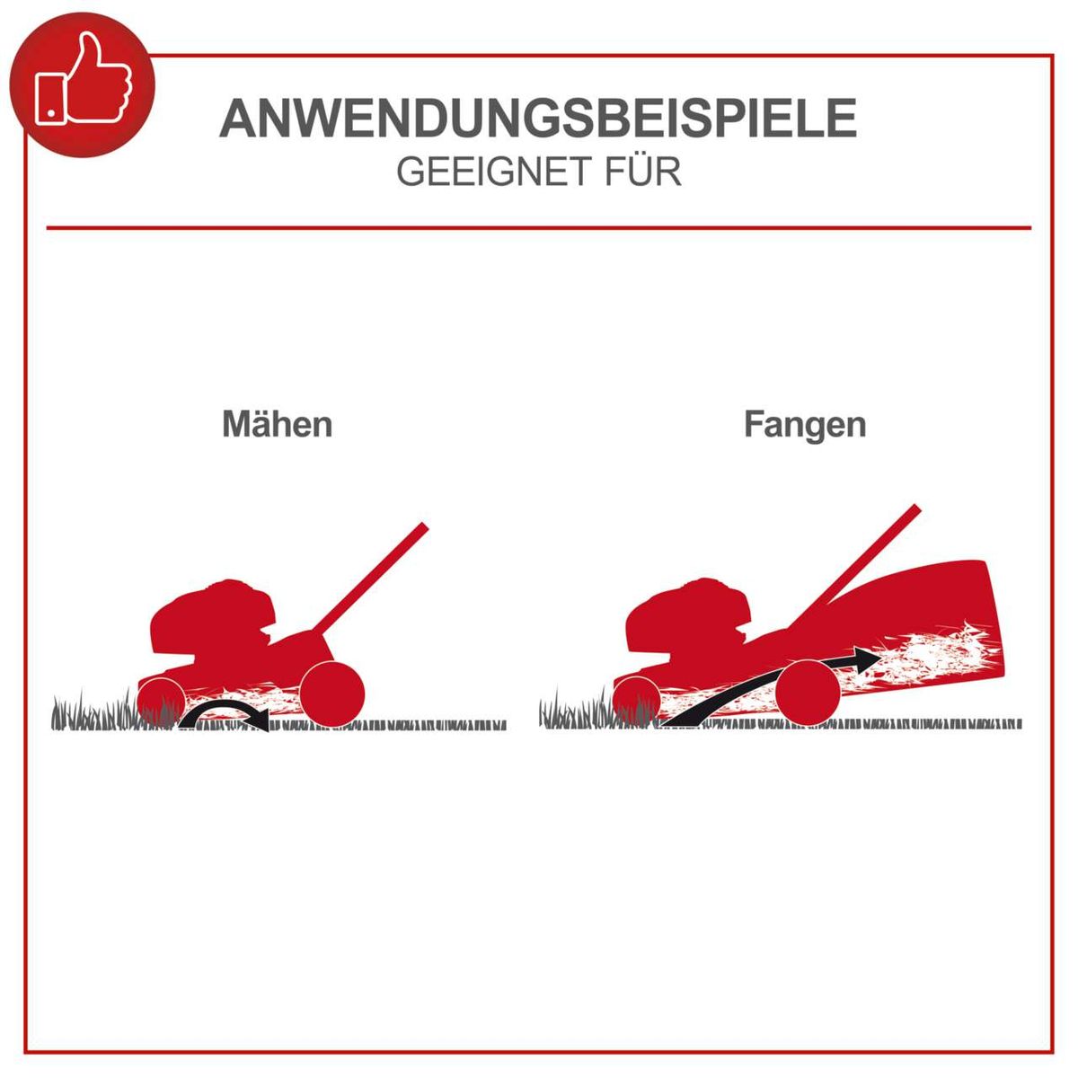 Der Benzin-Rasenmäher MP132-40 von Scheppach eignet sich zum Mähen und Fangen von Gras. Er verfügt über eine Schnittbreite von 40 cm und einen 35-Liter-Grassfangkorb für einfache Reinigung.