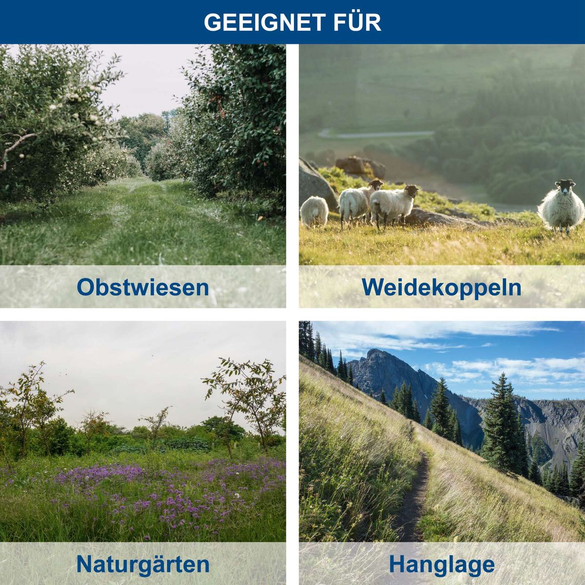 Bild zeigt die Einsatzbereiche für Obst- und Weideflächen sowie Naturgärten und Hanglagen für Scheppach-Balkenmäher.