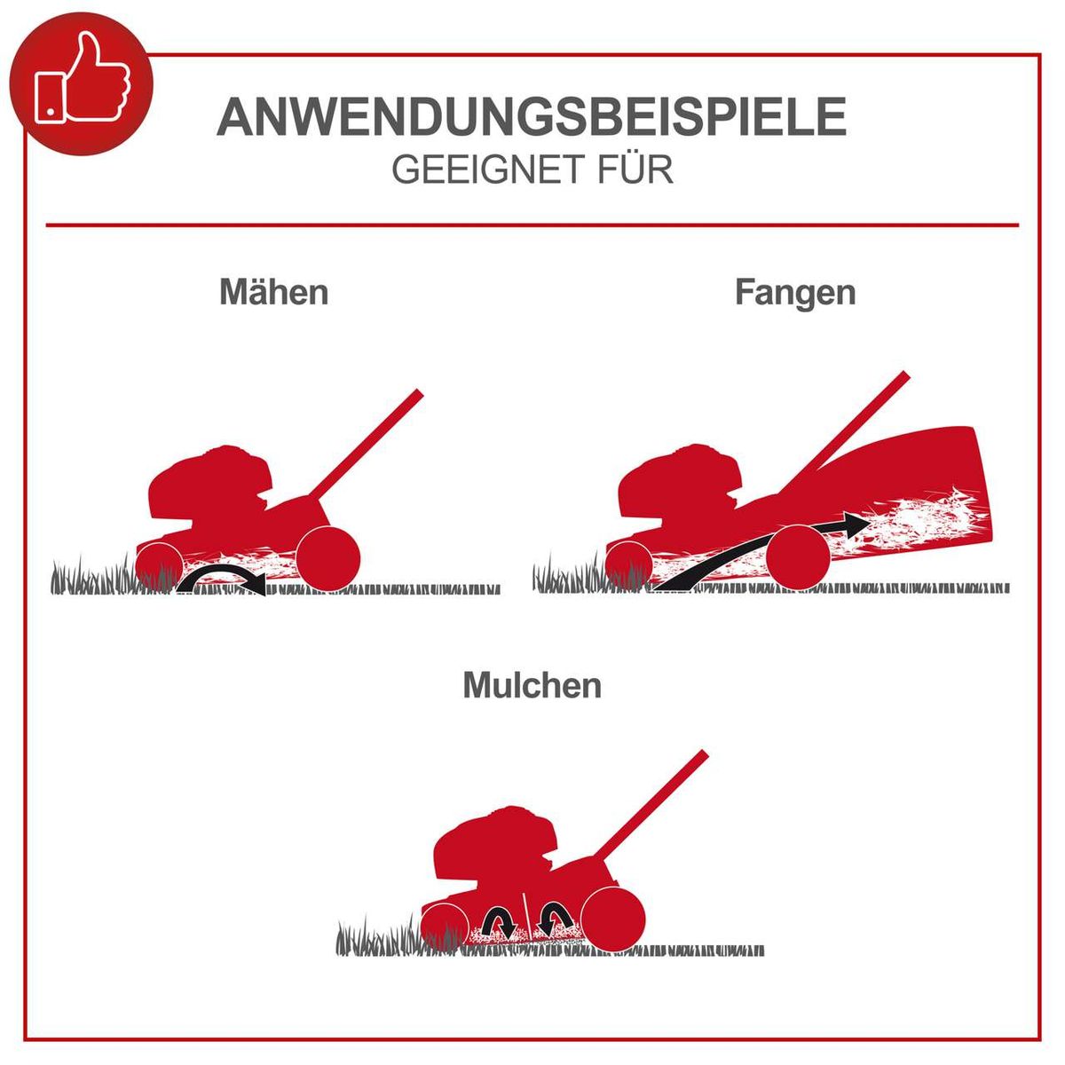 Der Benzin Rasenmäher MS225-53 Scheppach eignet sich zum Mähen, Fangen und Mulchen. Er hat eine Schnittbreite von 53 cm, einen Radantrieb und einen 65 Liter Fangkorb.