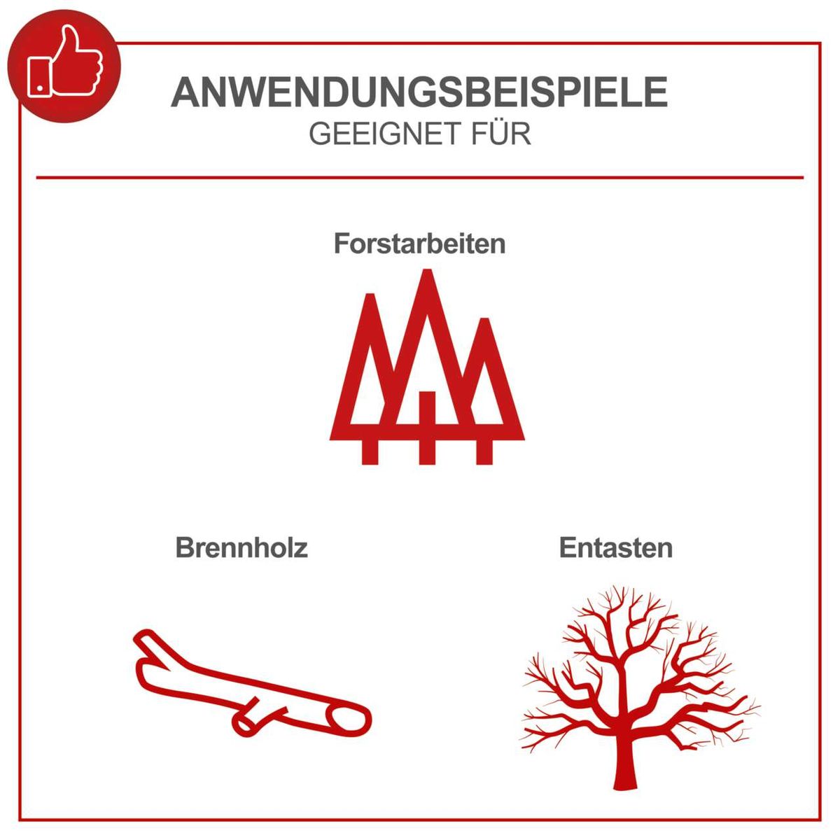 Illustration mit Anwendungsbeispielen für Forstarbeiten: Verarbeitung von Brennholz und Entasten von Bäumen