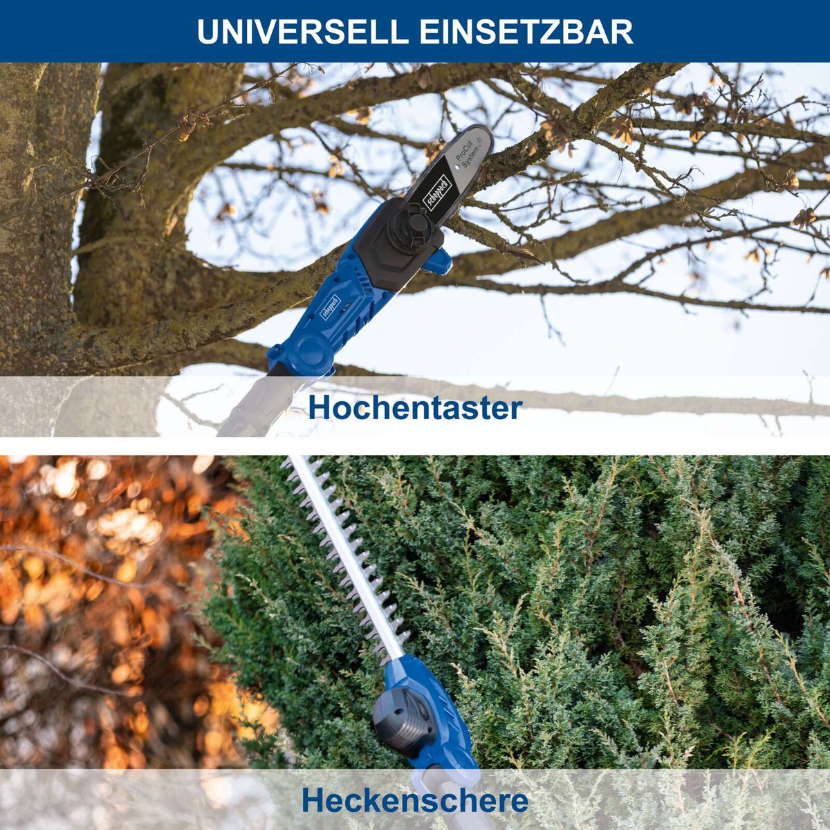 Hochentaster und Heckenschere für präzises Schneiden von Ästen und Zweigen