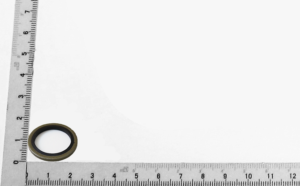 Scheppach-Dichtring mit Gummi-Lippe, Ø22mm, Detailansicht