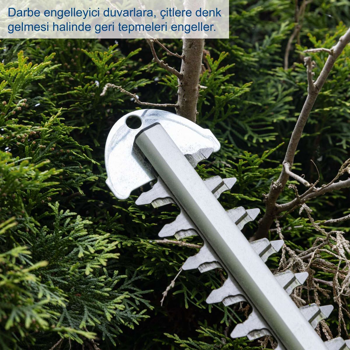 Die Heckenschere verhindert ein Zurückfedern der Tepmelei beim Schneiden von Wänden und Ästen.