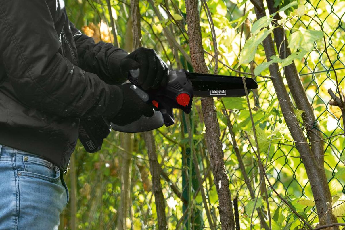 Person hält Akku-Gehölzschneider von Scheppach beim Arbeiten an Baumstämmen