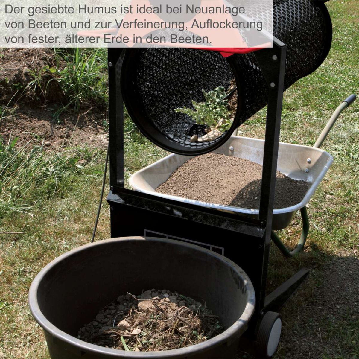 Boden, Pflanze, Pflanze im Topf