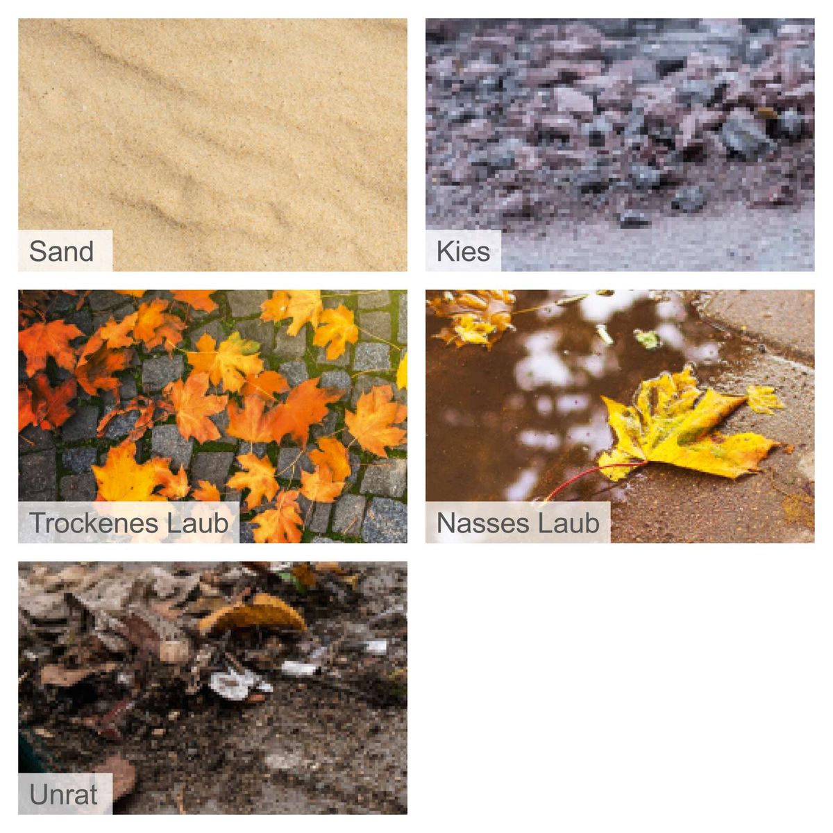 Blatt, Pflanze, Baum, Straße, Ahorn