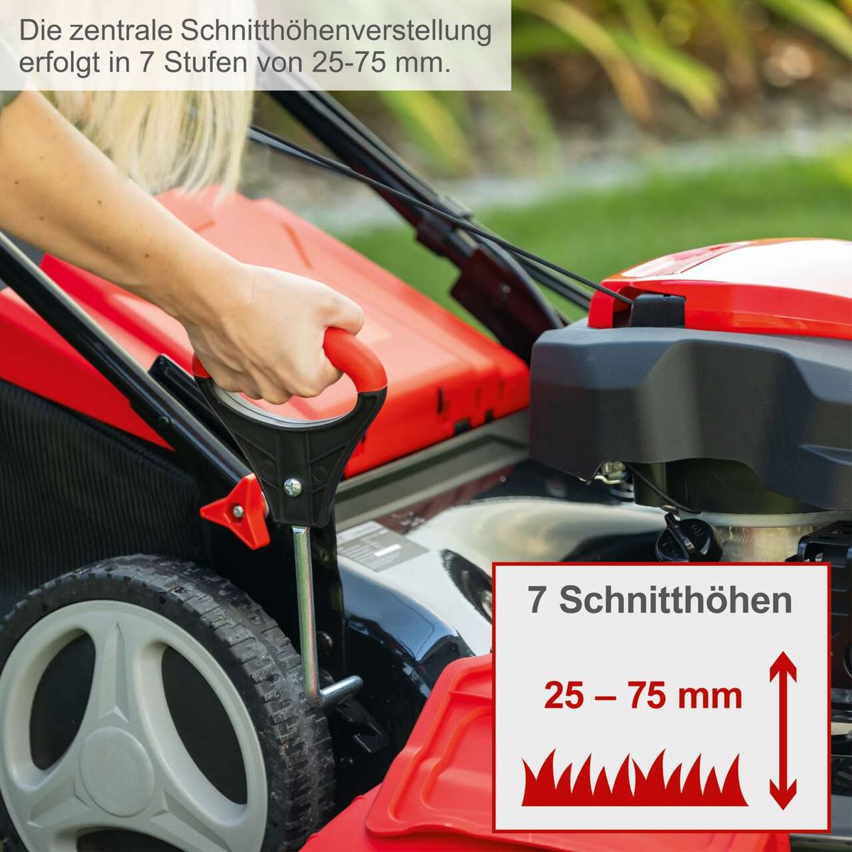 Der Benzin-Rasenmäher MS197-51-3W von Scheppach verfügt über eine zentrale Schnitthöhenverstellung mit 7 Stufen von 25-75 mm.