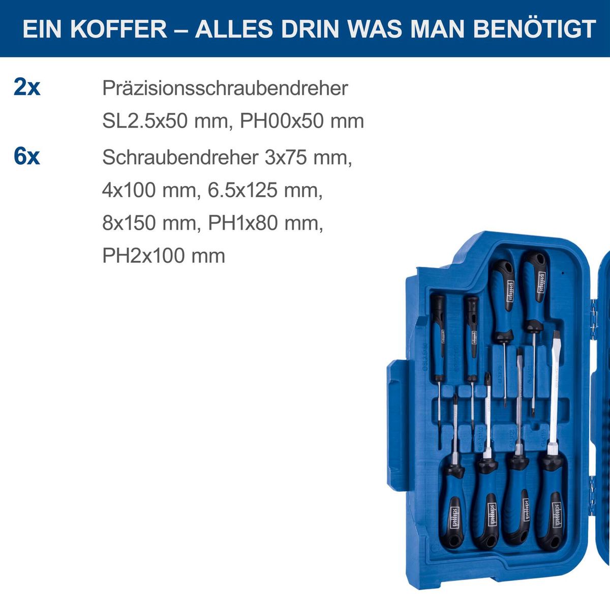Werkzeugkoffer mit Präzisionsschraubendrehern (SL2.5×50 mm, PH00×50 mm) und verschiedenen Schraubendrehern (3×75 mm, 4×100 mm, 6.5×125 mm, 8×150 mm, PH1×80 mm, PH2×100 mm)