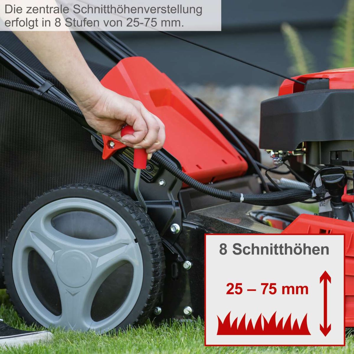 Der Rasenmäher MS150-46E von Scheppach bietet eine zentrale Schnitthöhenverstellung in 8 Stufen von 25-75 mm.