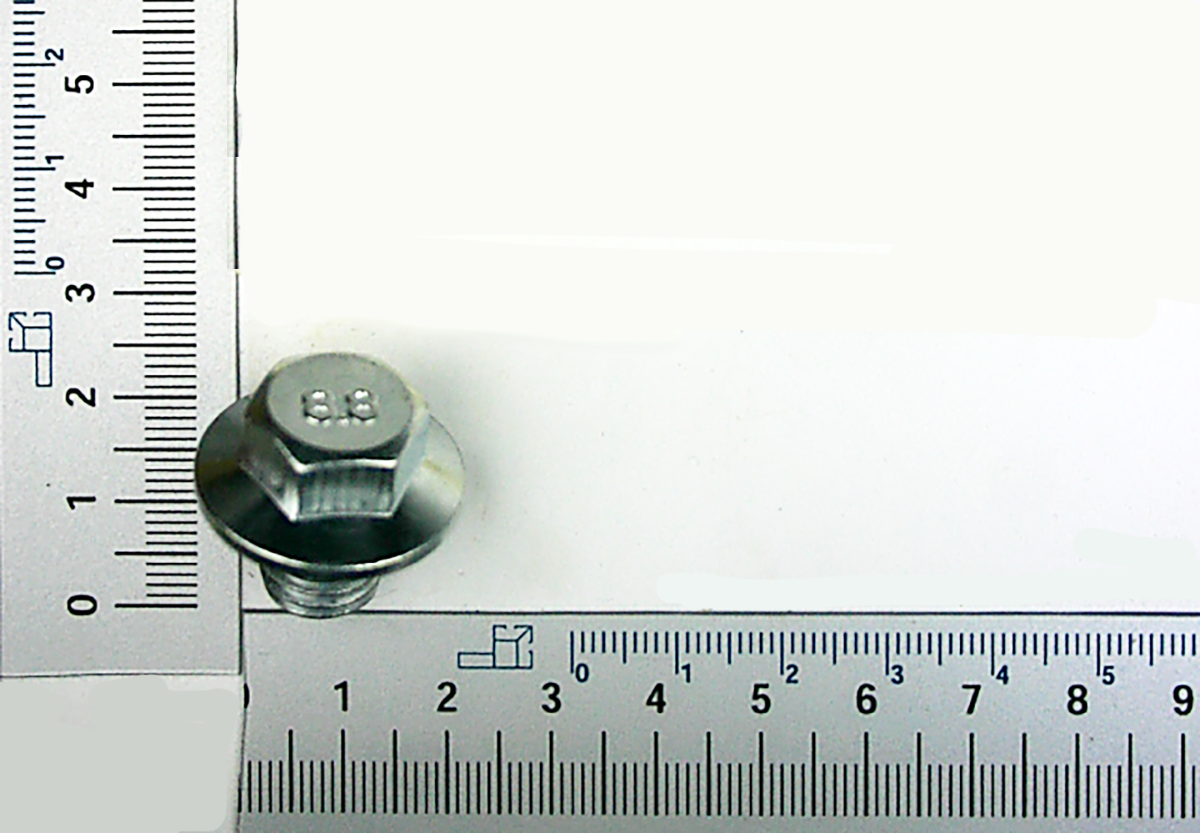 Scheppach-Schraube mit Sechskantkopf und Flansch, Ölablassschraube M12x12