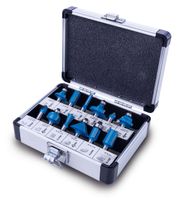 Fräserset mit 12 Teilen und 8 mm Aufnahmeschaft von Scheppach. Gezeigt von oben.