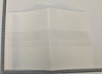 Scheppach-Messskala mit 30 cm Maßband für Papierbeutel DC100