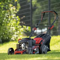 Gras, Rasen, Pflanze, Gerät, Rasenmäher