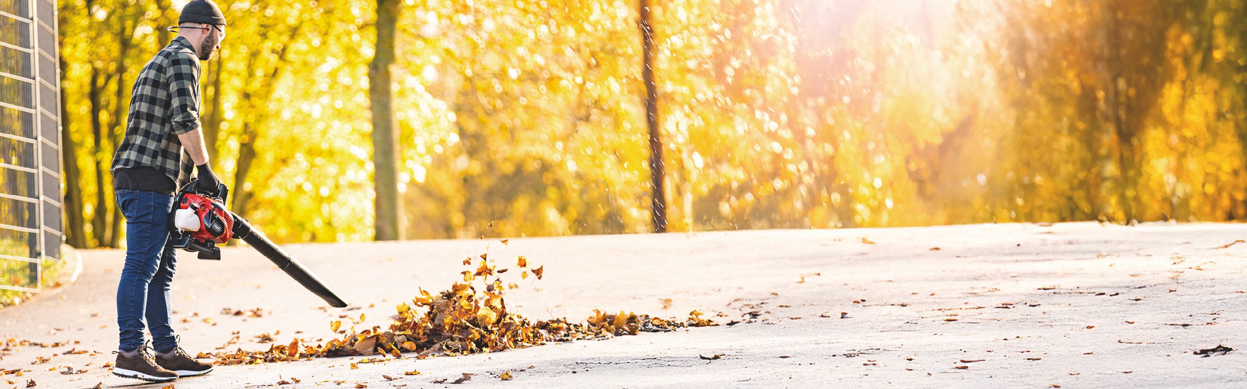 Eine Person verwendet einen Laubbläser, um Blätter auf einem Weg zusammenzufegen. Die Szene spielt im Herbst mit leuchtend gelben Blättern und Bäumen im Hintergrund.