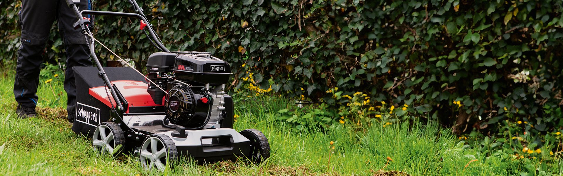 Ein Mann verwendet den Vertikutierer um seinen Rasen im Garten neben einer Hecke zu lüften