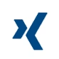 Xing Logo